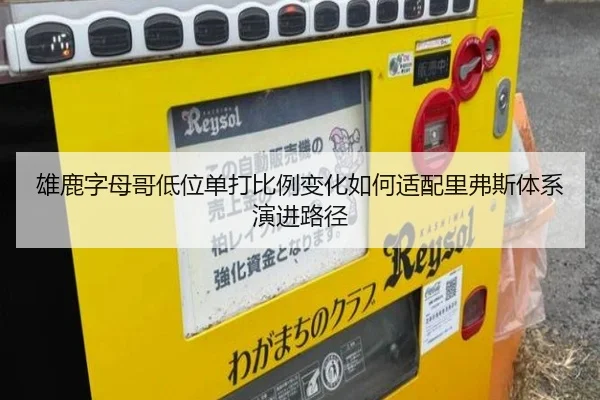 雄鹿字母哥低位单打比例变化如何适配里弗斯体系演进路径